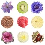 pixwords ROND