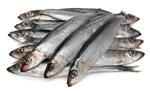 pixwords SARDINES