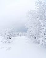 pixwords NEIGE