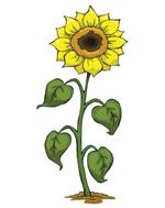 pixwords TOURNESOL