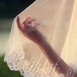 pixwords VOILE
