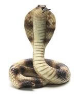 pixwords COBRA
