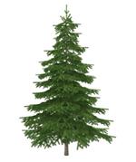pixwords SAPIN