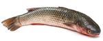 pixwords POISSON