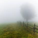 pixwords BROUILLARD