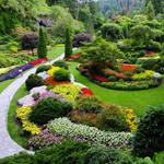 pixwords JARDIN
