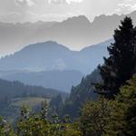 pixwords BRUME
