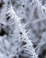 pixwords GIVRE