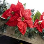 pixwords POINSETTIA