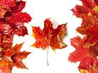 pixwords CANADIEN