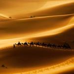 pixwords CARAVANE