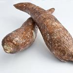 pixwords MANIOC