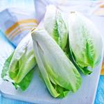 pixwords ENDIVE