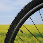 pixwords DUNLOP