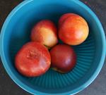 pixwords NECTARINE