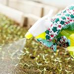 pixwords PESTICIDES