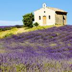 pixwords PROVENCE