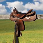 pixwords SELLE