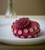 pixwords TENTACULE