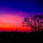 pixwords CRÉPUSCULE